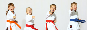 Contact discovery martial arts academy