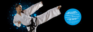 Taekwondo Martial Arts Classes Plympton, Plymstock, Stoke, Ivybridge, Saltash